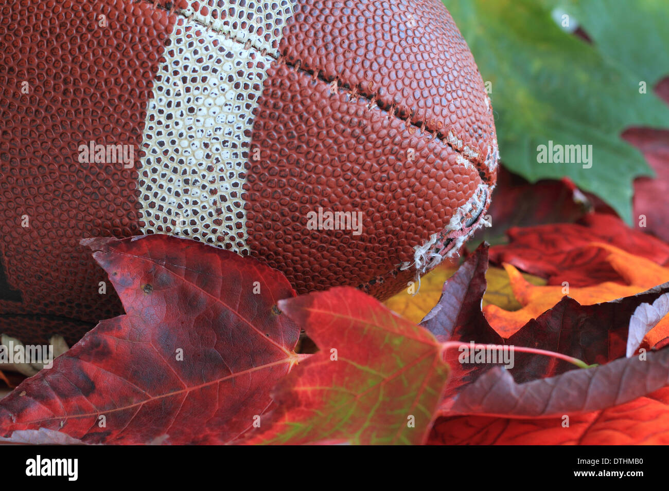 Herbst-Fußball Stockfoto