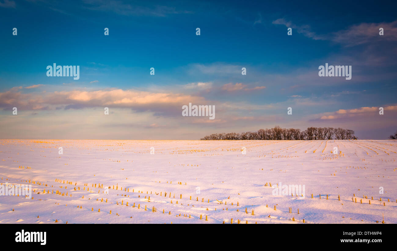 Abendhimmel über einen verschneiten Hof-Feld im ländlichen Carroll County, Maryland. Stockfoto