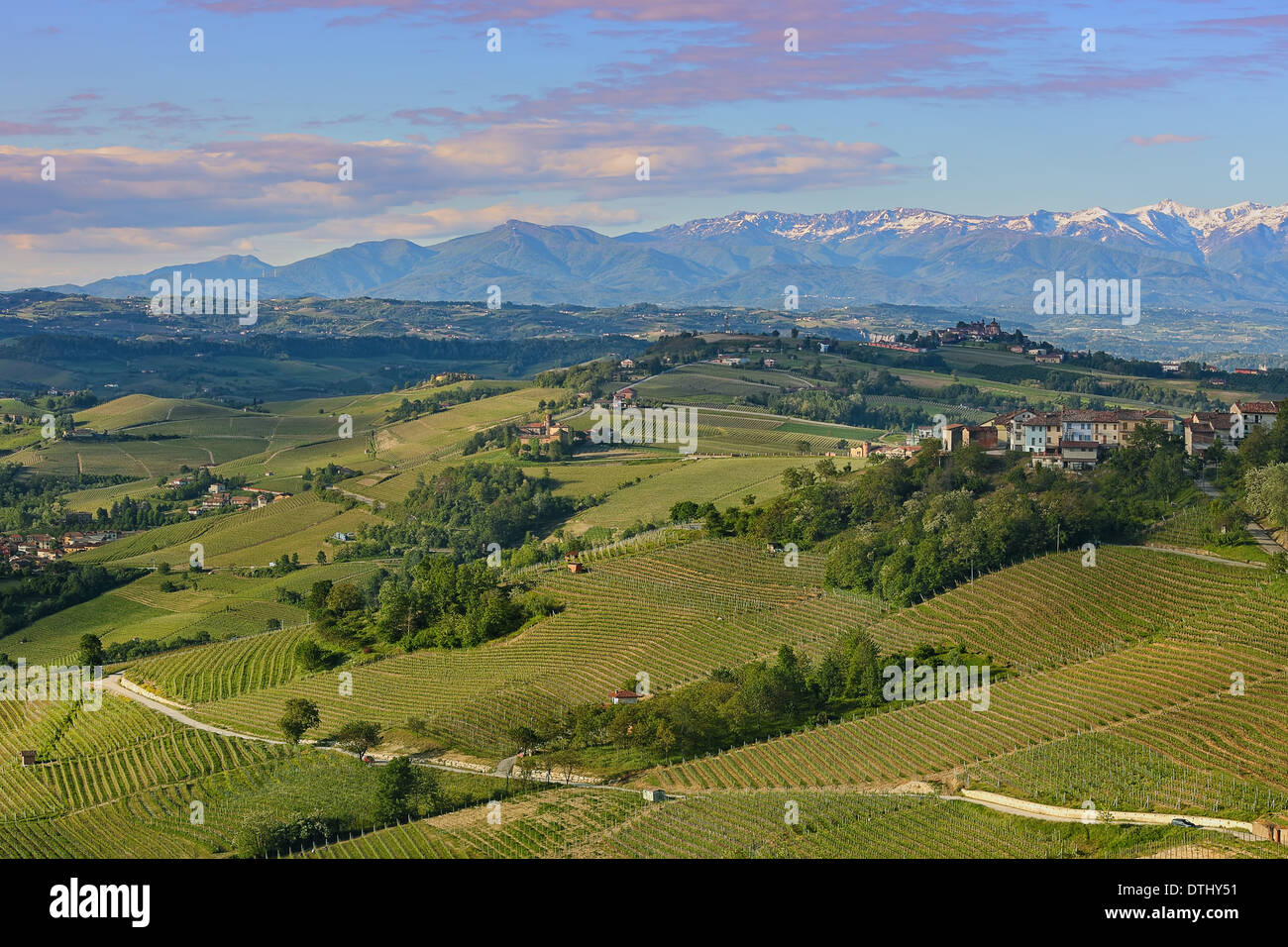 Dörfer auf grünen Hügeln mit Weinbergen der Langhe in der früh im Frühling in Piemont, Italien (Ansicht von oben). Stockfoto