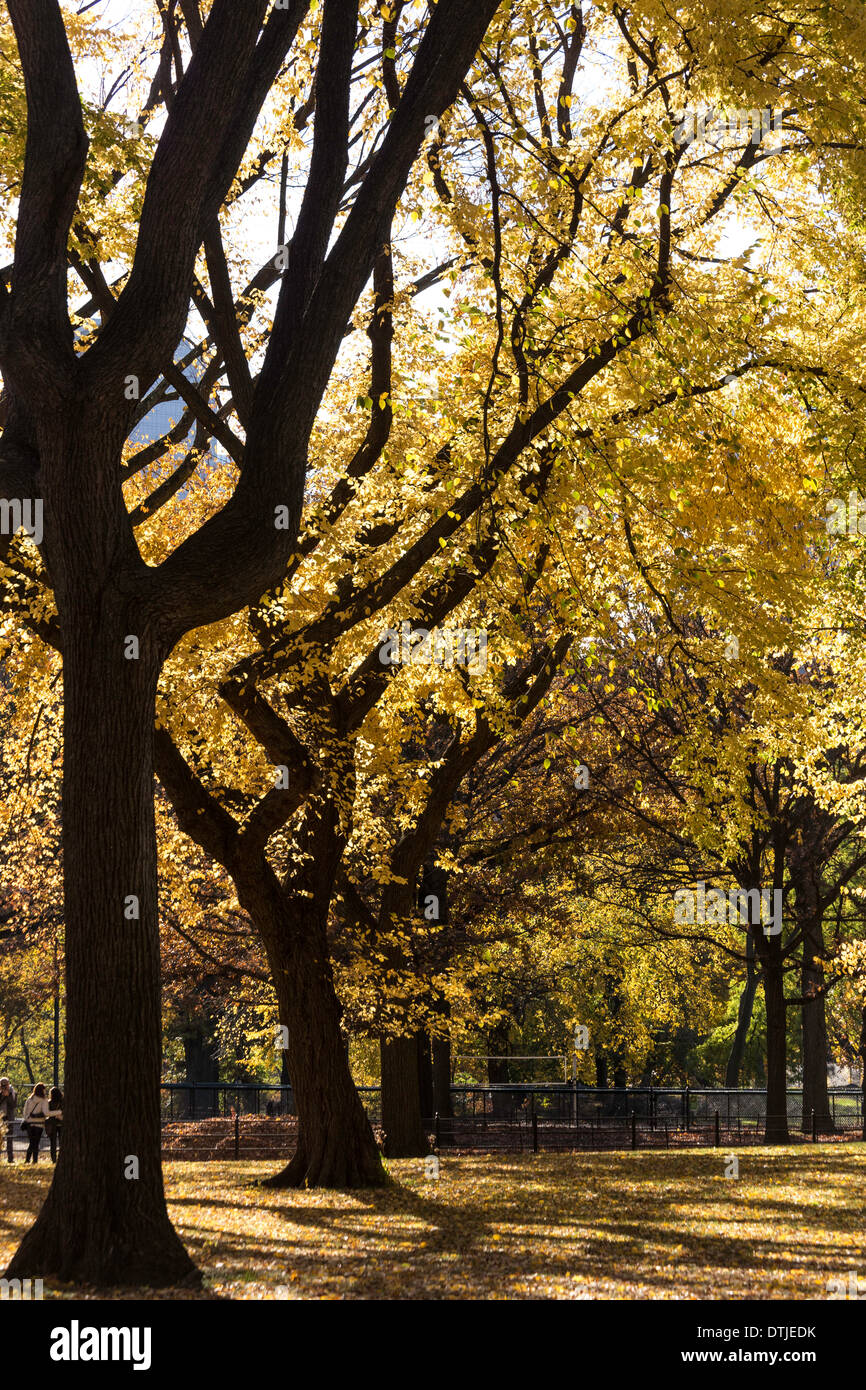 Central Park im Herbst, NYC Stockfoto