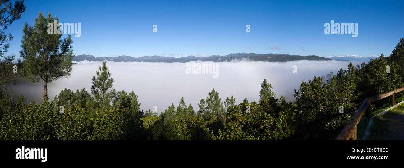 Panoramablick auf Tal voller Nebel Stockfoto