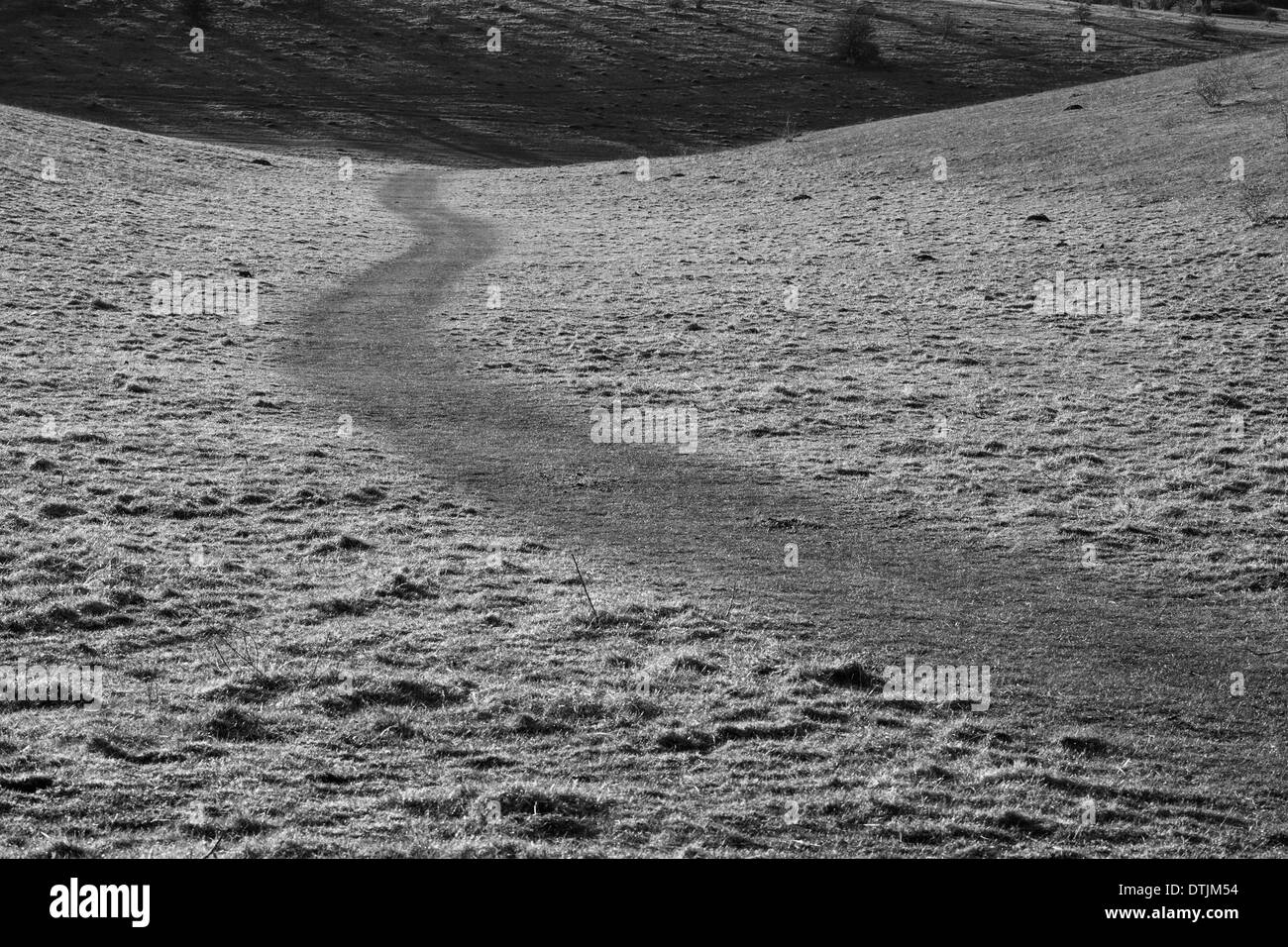 Pfad im Feld Mono ausweichen Stockfoto