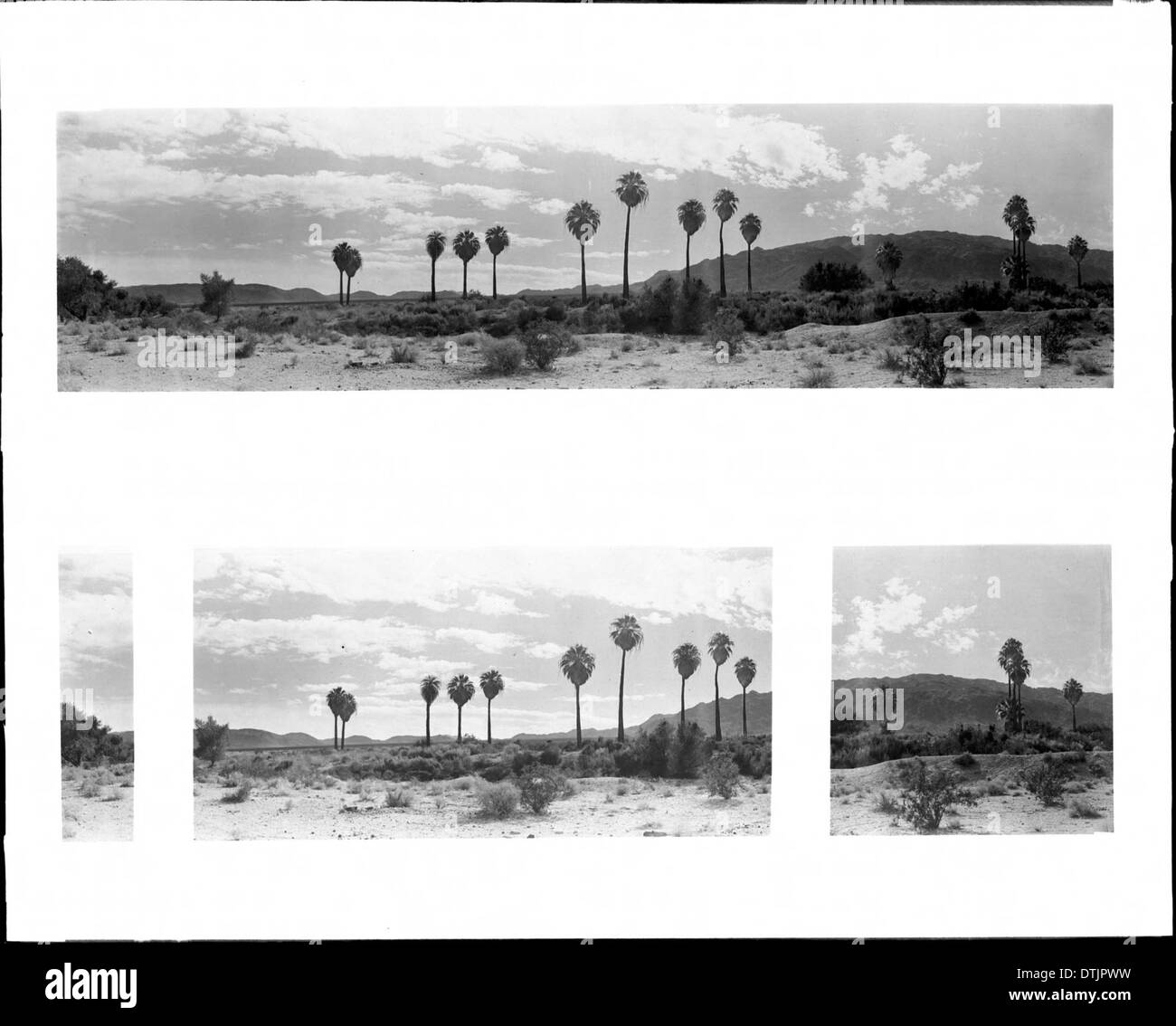 Ein Panoramablick auf die Twenty-Nine Palms in der Nähe von Palm Springs, Kalifornien, um 1920 aufgenommen und zeigt die frühe Entwicklung der Stadt und die umliegende Wüstenlandschaft. Stockfoto