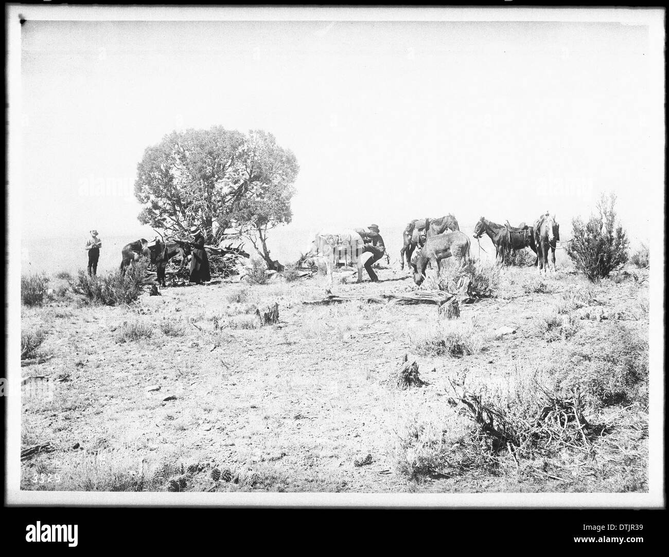 Eine Gruppe von Menschen wird zwischen 1900 und 1930 am Point Sublime, dem nördlichen Rand des Grand Canyon, ihr Camp brechen sehen, was die frühe Erholung und das Reisen im Freien hervorhebt. Stockfoto