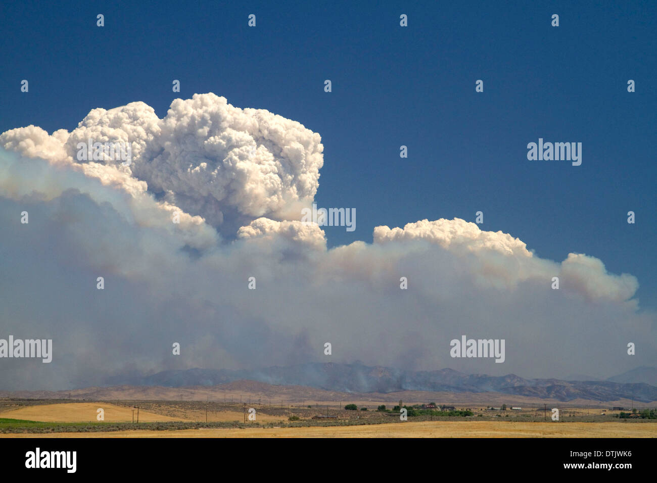 Pyrocumuli Wolke erstellt durch ein Lauffeuer in der Nähe von Boise, Idaho, USA. Stockfoto