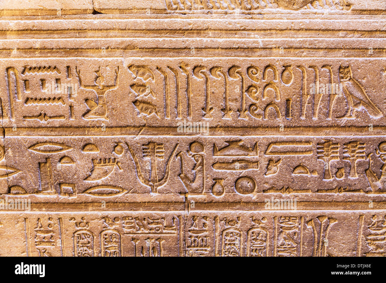 Bas-Reliefs an der Wand des alten ägyptischen Tempels von Horus in Edfu. Stockfoto