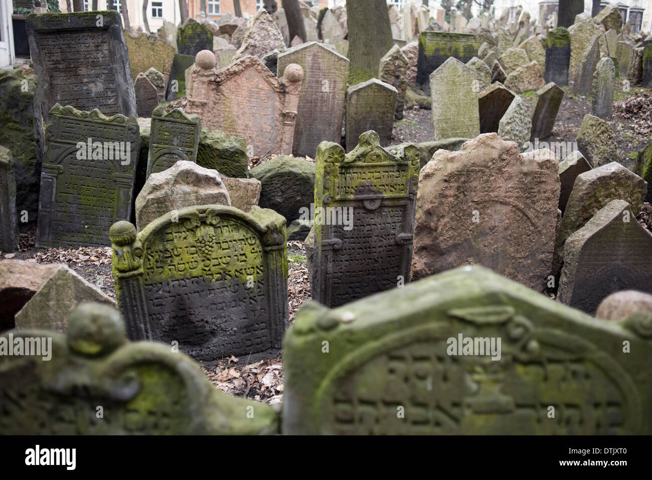 Der alte jüdische Friedhof in Prag. Der alte jüdische Friedhof in Prag (Tschechisch: Alter jüdischer Friedhof) befindet sich in der jüdischen Quar Stockfoto