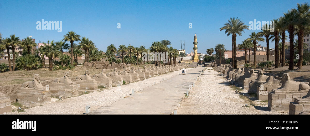 Ägypten, Luxor Tempel: Ansicht von Sphinxen Allee Stockfoto