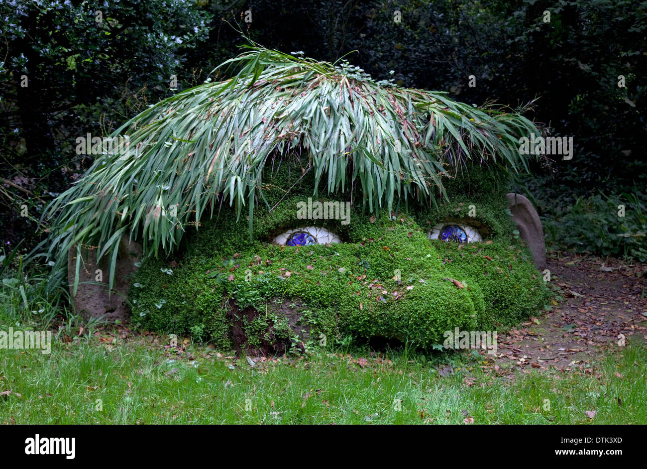 Gesicht von Moos Riesen Lost Gardens of Heligan Cornwall UK Stockfoto