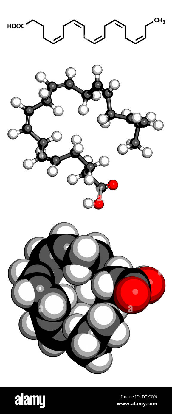 Eicosapentaenoic Säure (EPA) Omega-3 Fettsäure-Molekül. Reichlich in vielen Fischölen. Stockfoto