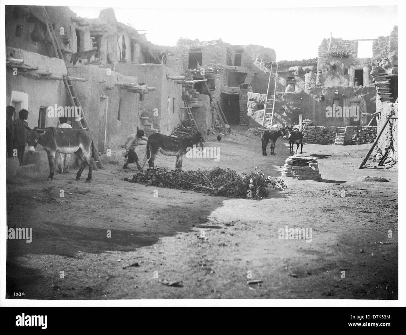 Haufen von grünen Zweigen in der Straße von der Hopi indischen Dorf von Mishongnovi für Kisi oder Kiva für Schlangentanz, ca.1900-1901 Stockfoto