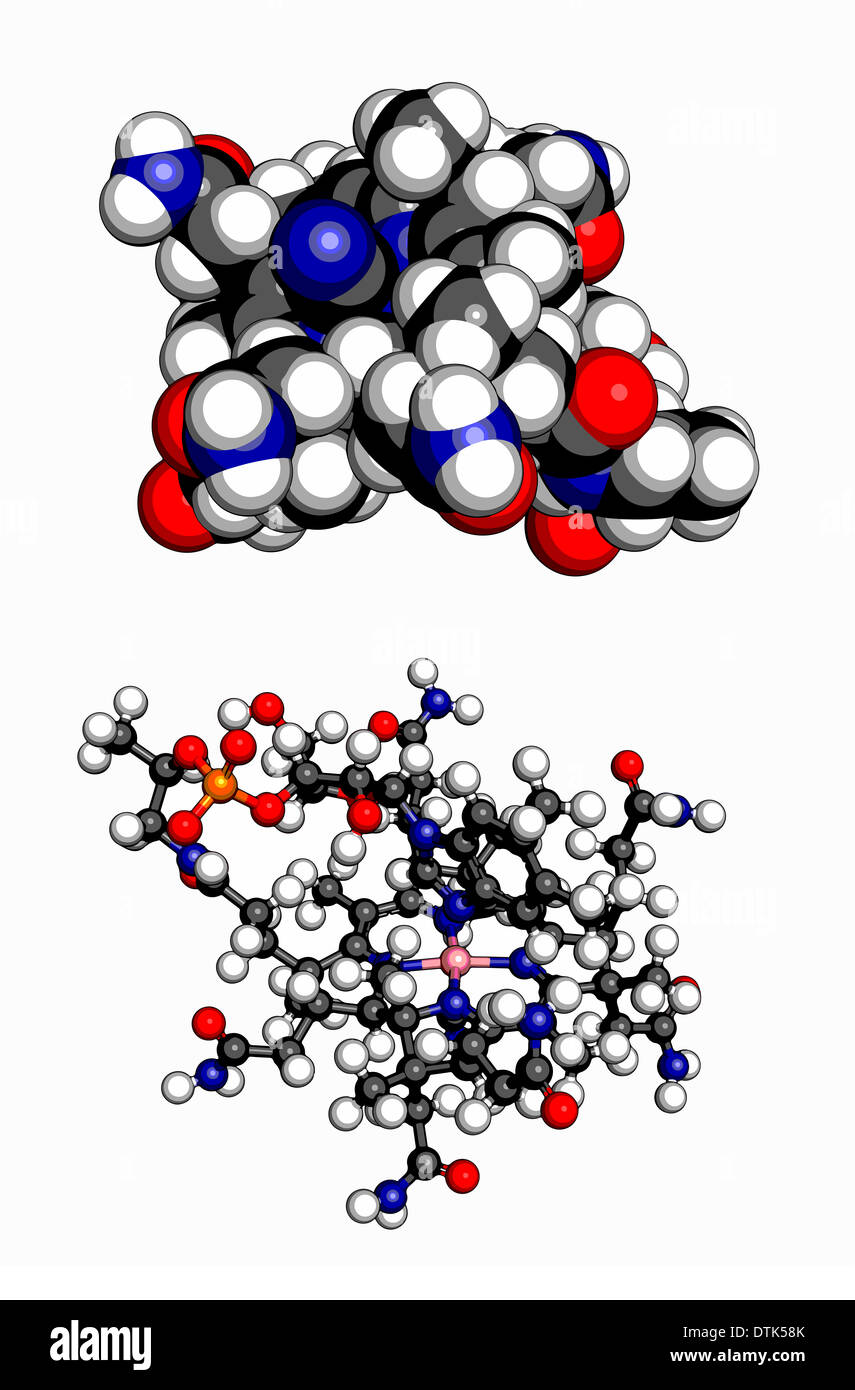 Vitamin B12 (Cyanocobalamin)-Molekül. Raumfüllende 3D-Modell und 3D Kugel-und-Peitsche-Modell. Stockfoto
