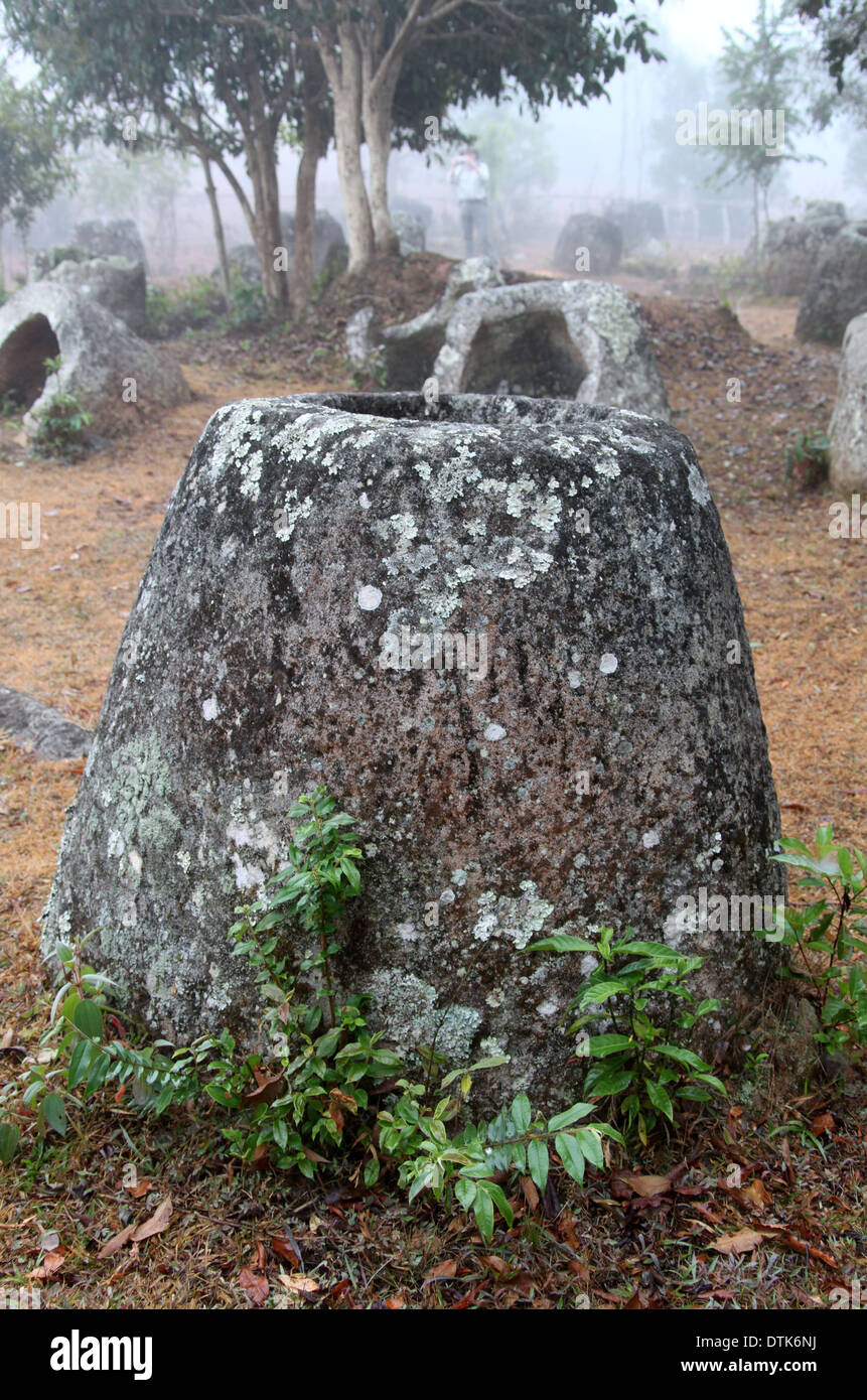 Ebene des Jars Site 3 in ländlichen Laos, wo die megalithischen Monumente in den frühen Morgennebel untersucht werden Stockfoto