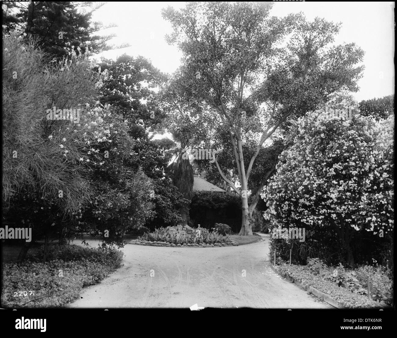 Aufenthalts- und Gärten von Caroline M. Severence, Los Angeles, ca.1898-1900 Stockfoto