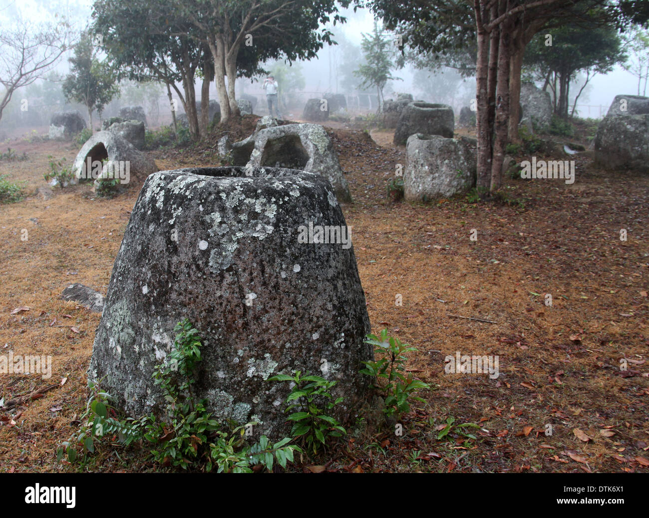 Ebene des Jars Site 3 in ländlichen Laos, wo die megalithischen Monumente in den frühen Morgennebel untersucht werden Stockfoto