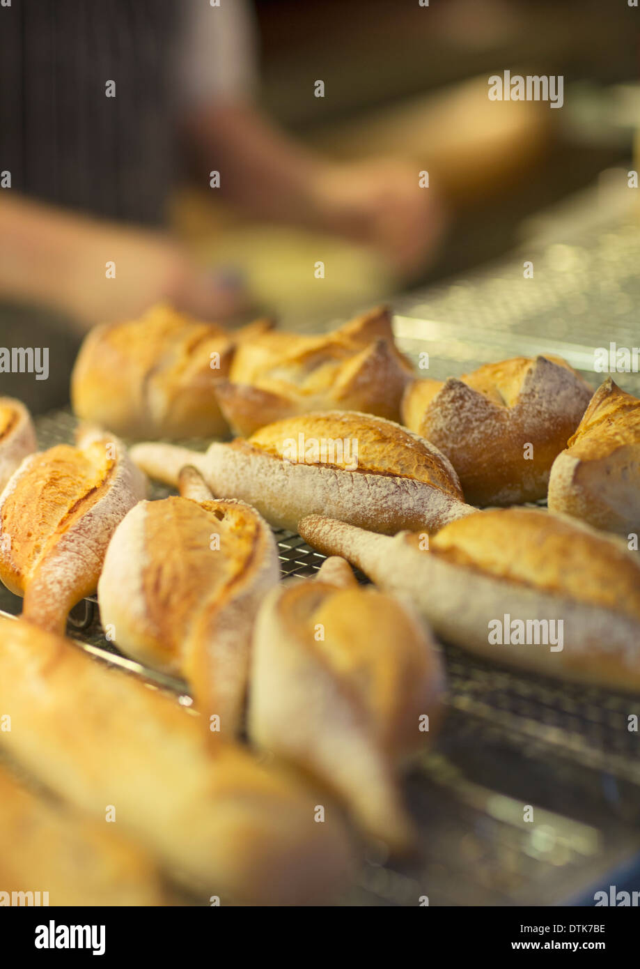 Nahaufnahme von frischem Brot in der Bäckerei Stockfoto