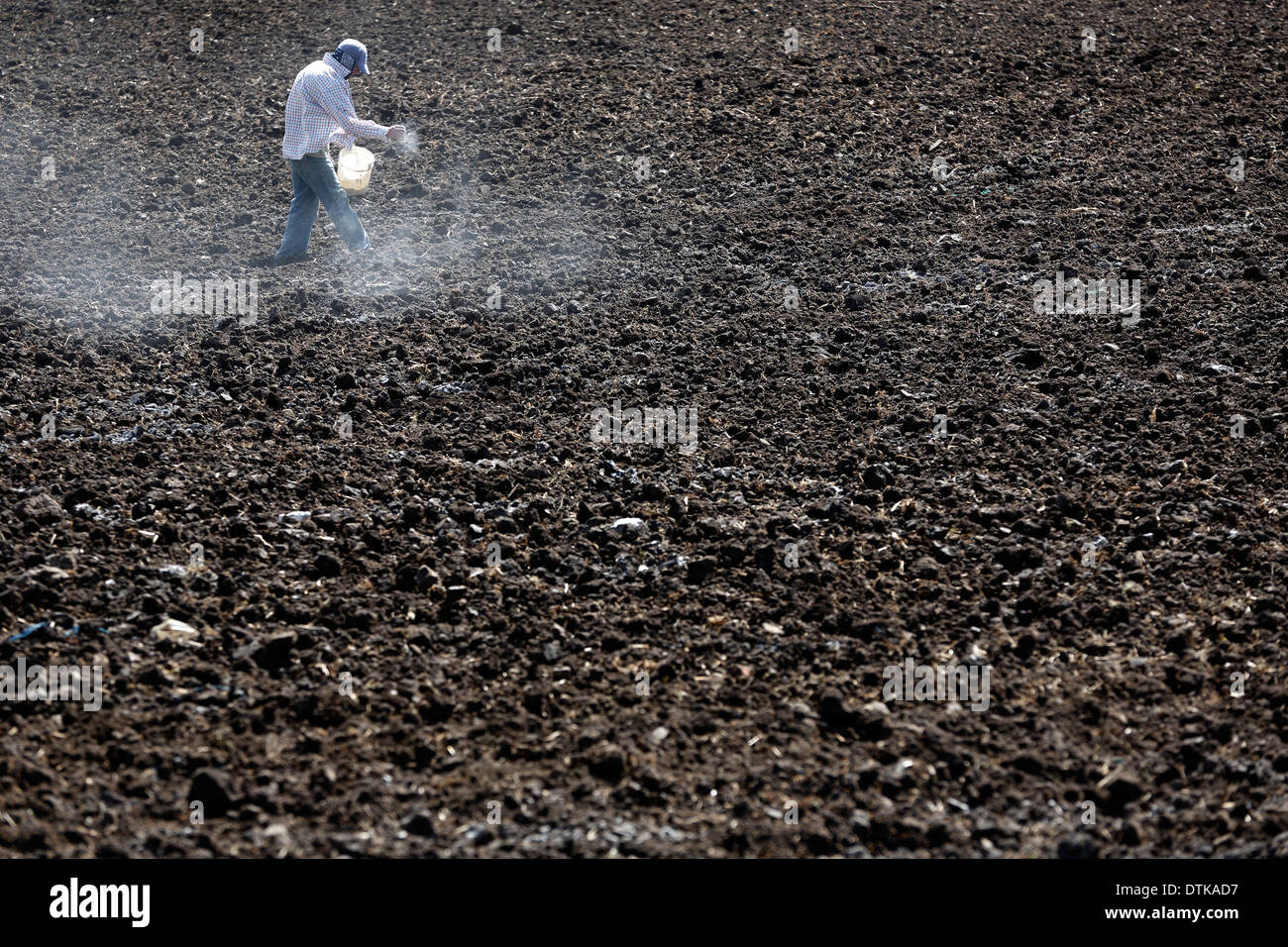 Feldarbeiter, die Verbreitung von Dünger, nördliche Hochland Nicaragua Stockfoto
