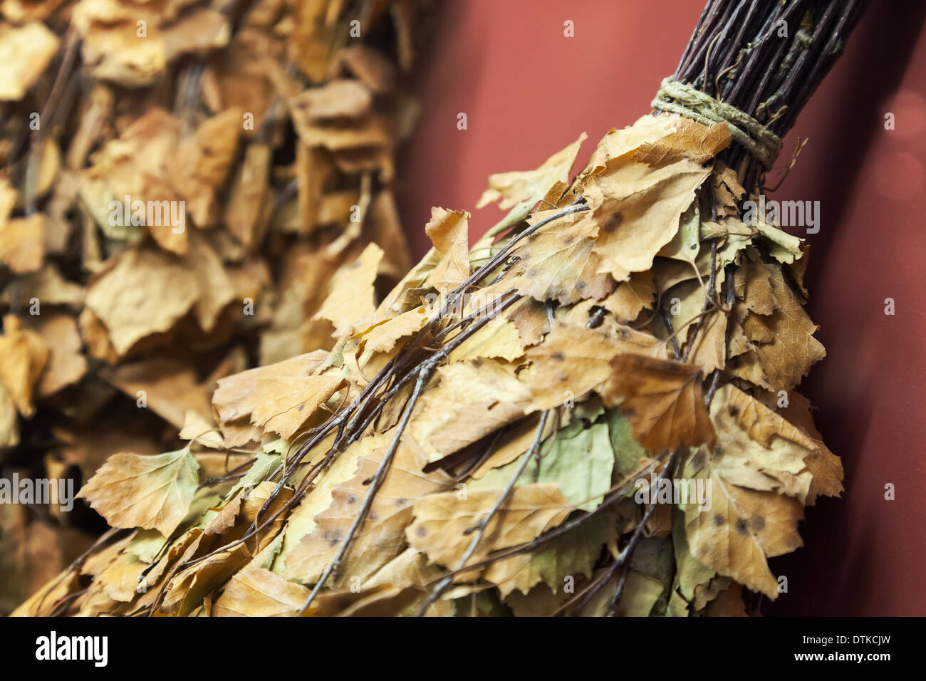 Nahaufnahme Foto von getrockneten Birkenzweigen, russische Saunazubehör Stockfoto