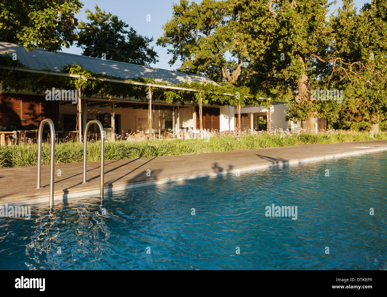 Swimmingpool außen Luxus-Haus, umgeben von Bäumen Stockfoto