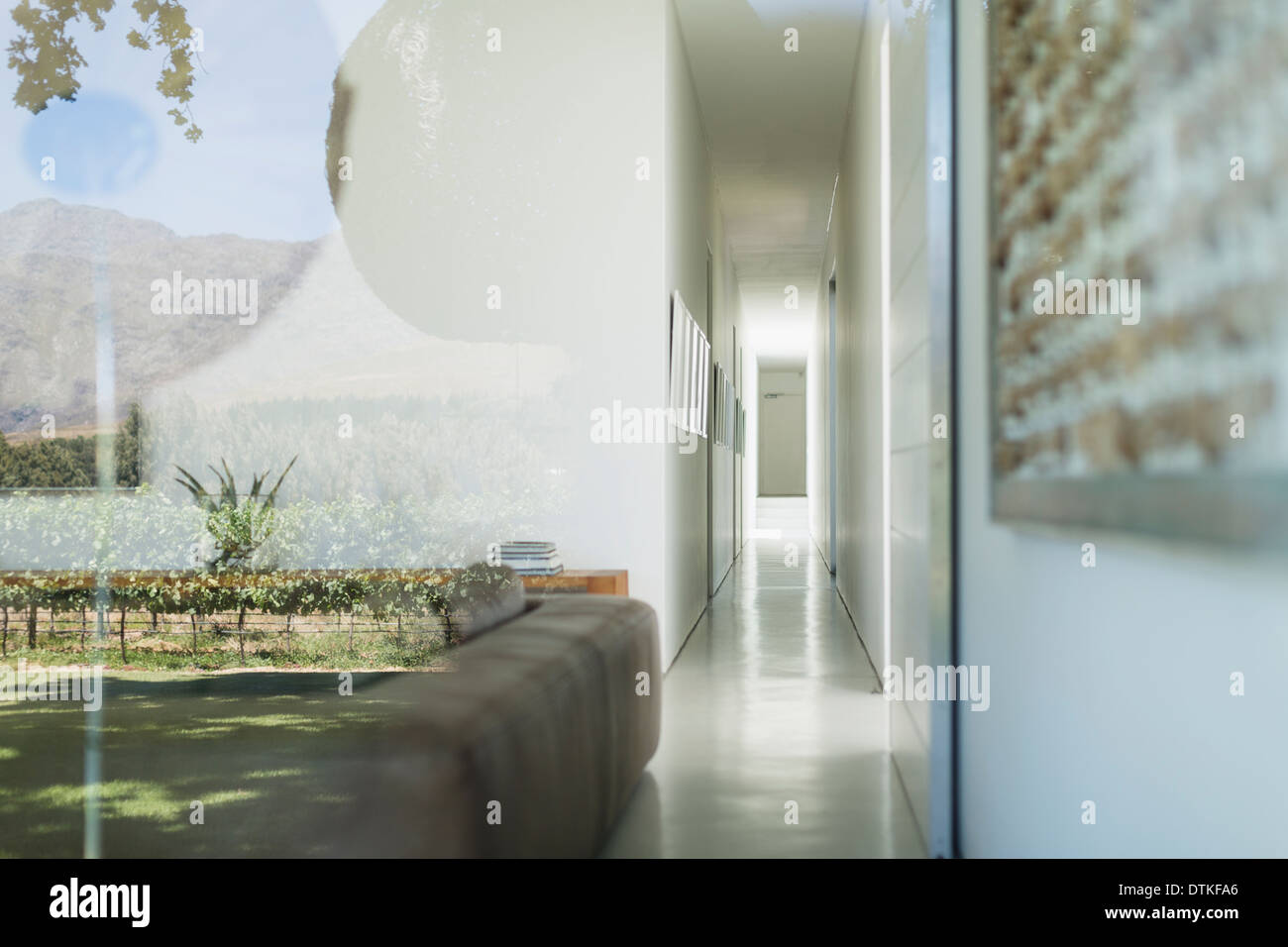 Glaswände des modernen Hauses mit Blick auf Weinberg Stockfoto