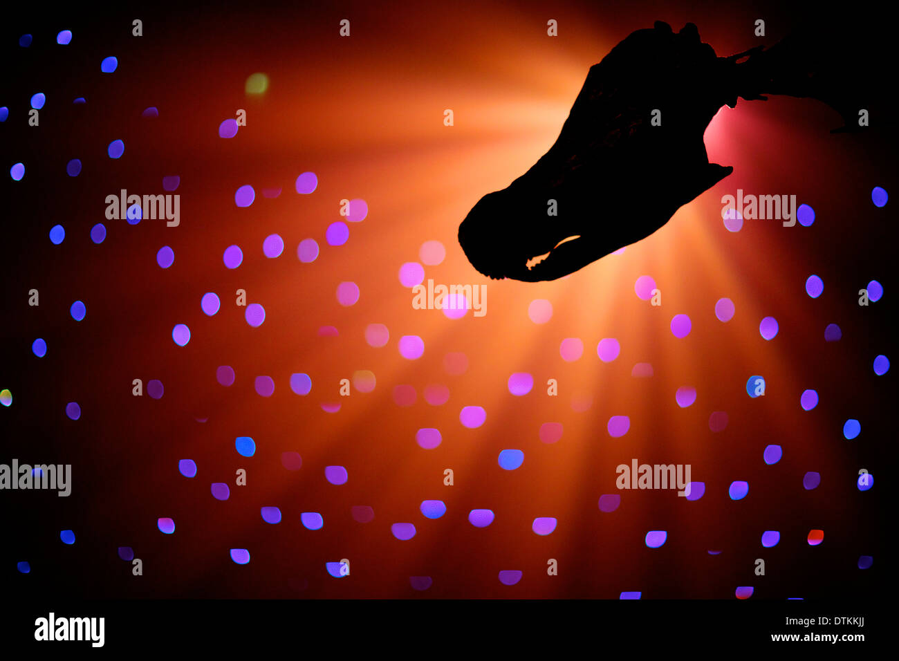 Dinosaurier-Kopf oder Schädel Silhouette gegen Licht Stockfoto