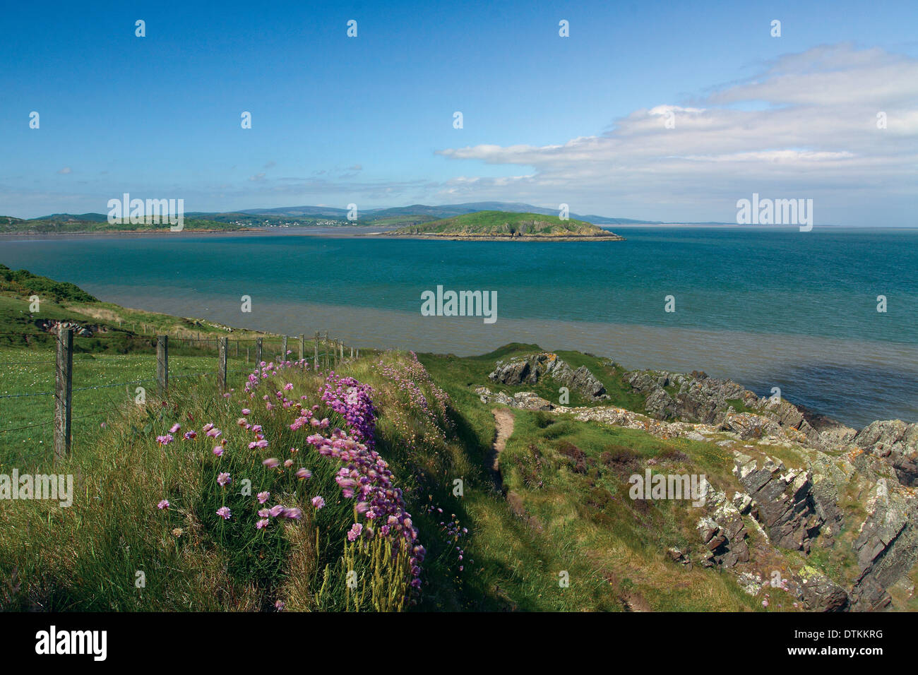 Mit Blick auf Hestan und die Colvend Küste von Balcary Bay, Auchencairn, Galloway Stockfoto