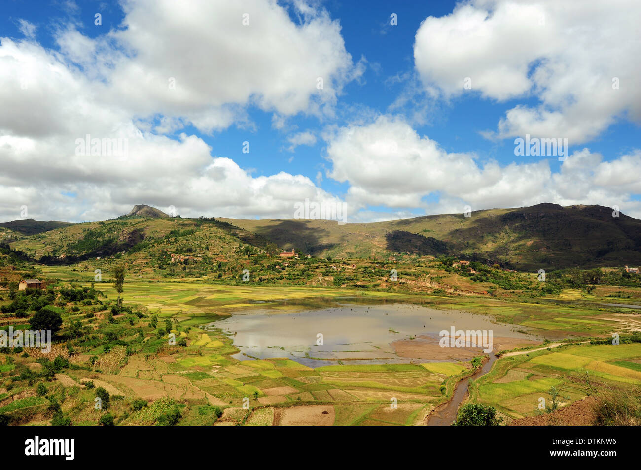 Madagaskar, Betafo, Blick auf grüne Ebene voll der Reisfelder Stockfoto