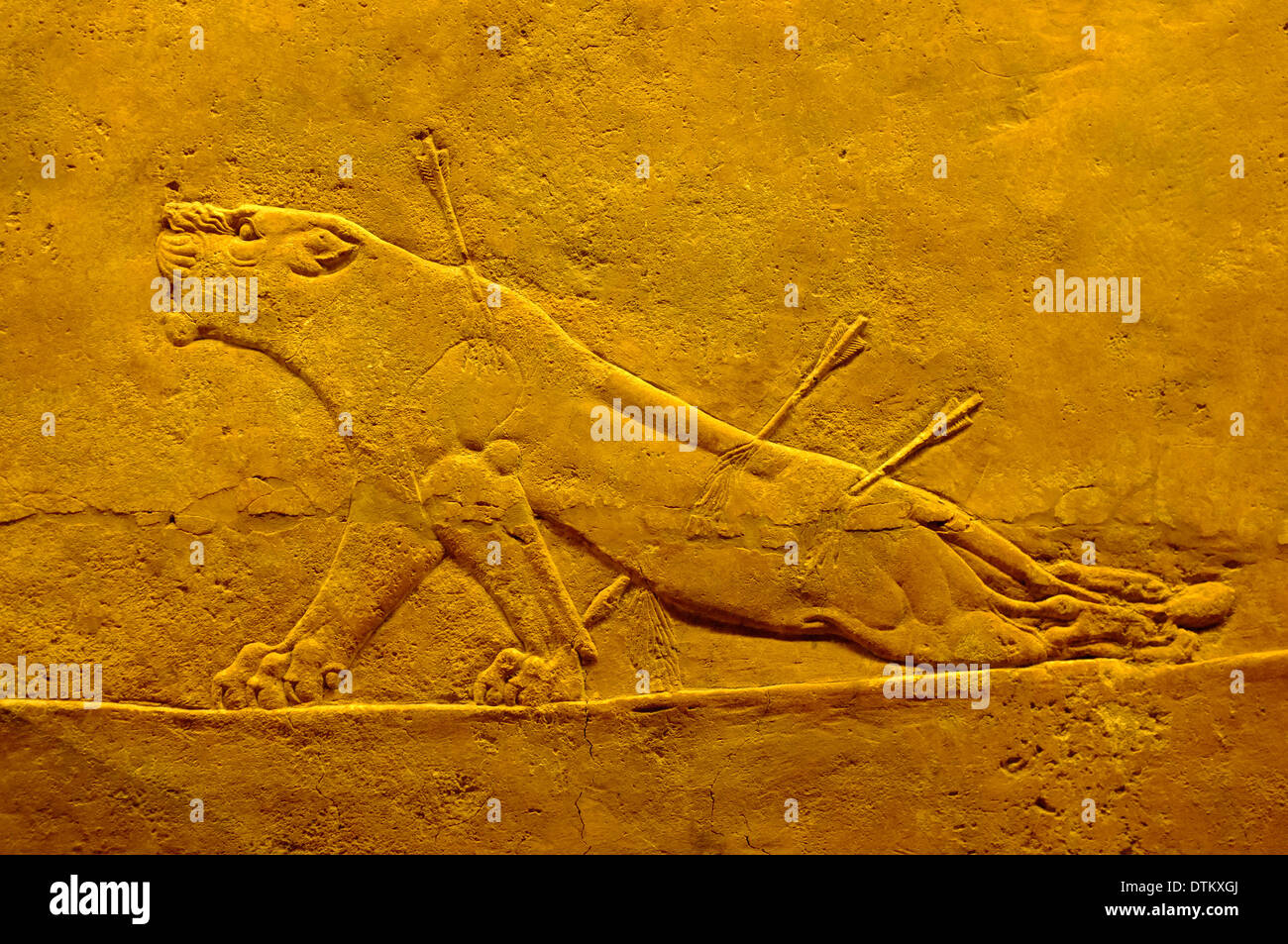 Assyrische Löwen jagen Relief Wandkunst im British Museum, London, England Stockfoto