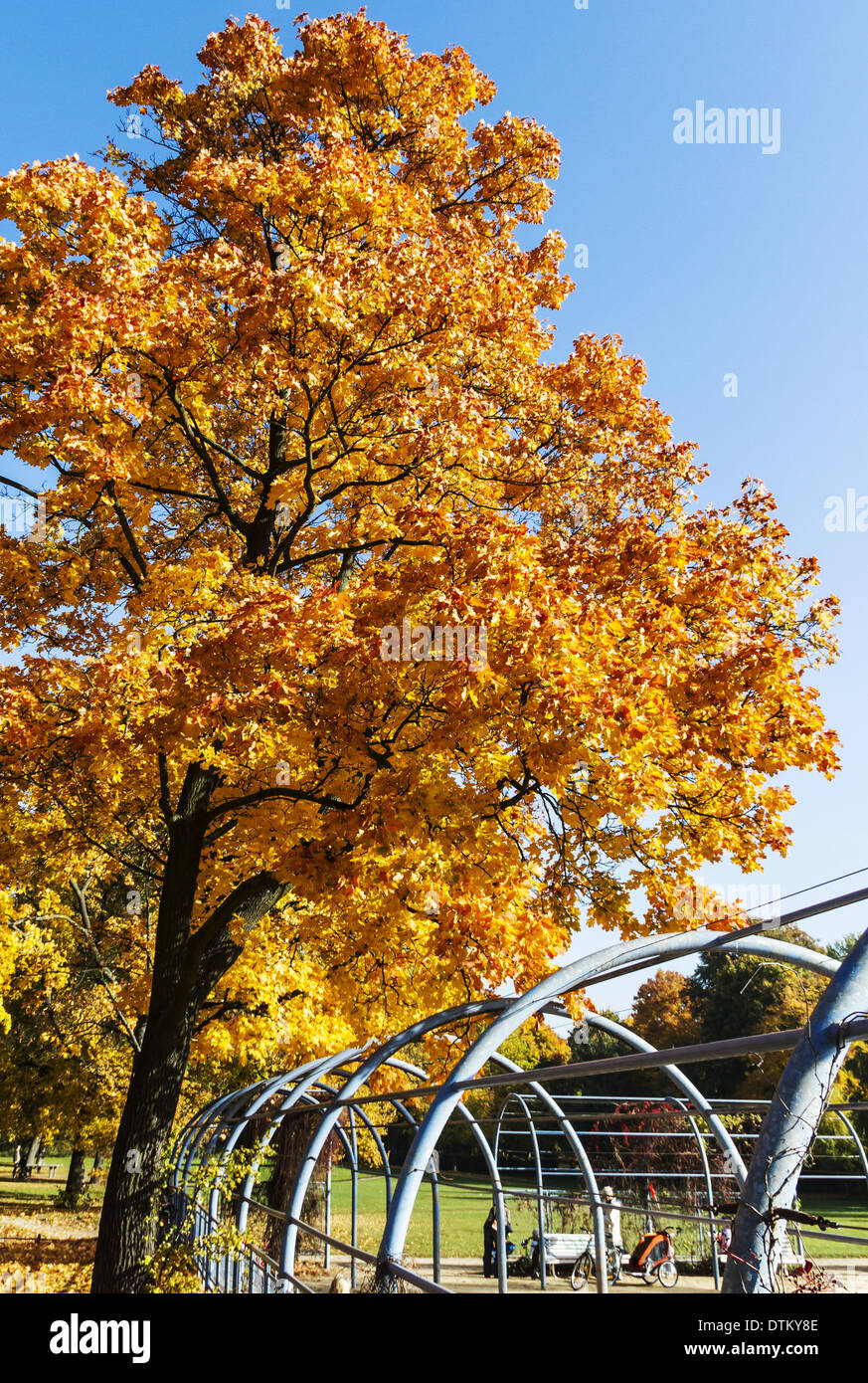 Herbst Stockfoto