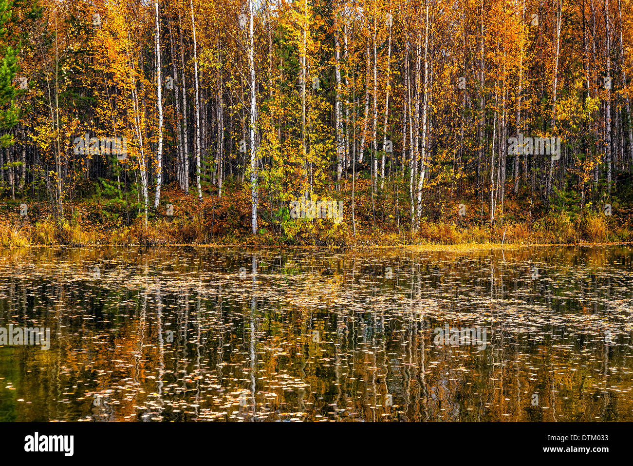 Wunderschöne Herbstlandschaft Stockfoto