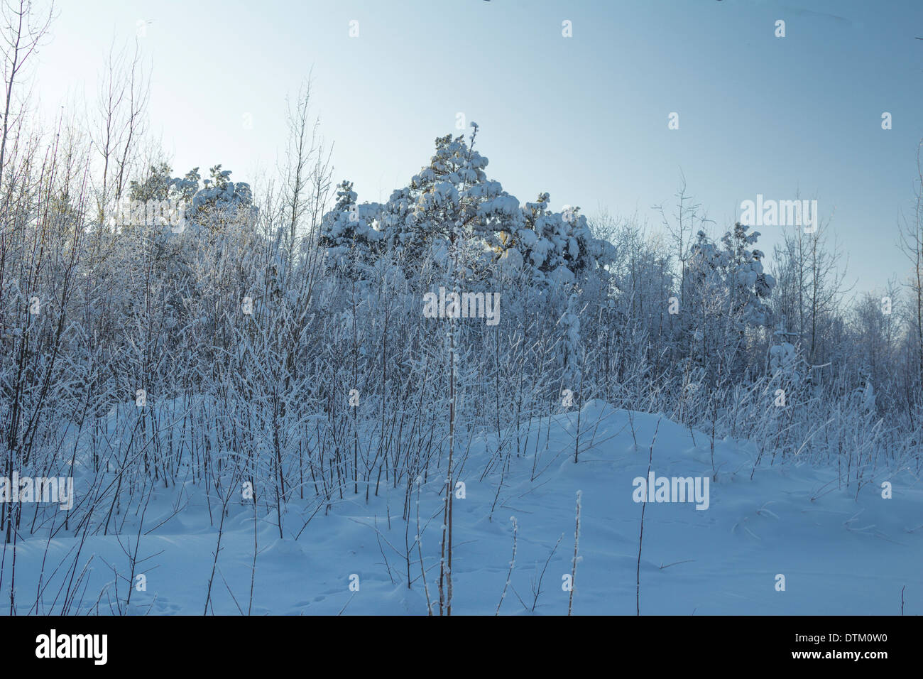 Sibirien landschaft -Fotos und -Bildmaterial in hoher Auflsung  Alamy
