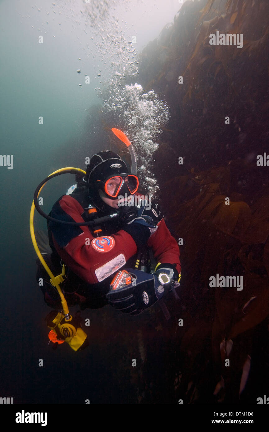 Ein Taucher passt seine Schwimmfähigkeit in den malerischen Gewässern des The Small Isles (Eigg, Muck und Canna) an der Westküste von Schottland. Stockfoto