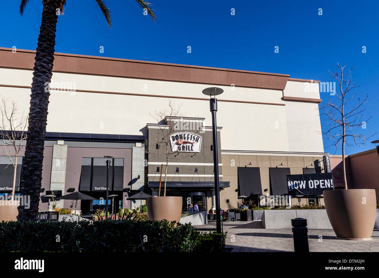 Bonefish Grill in Northridge, Kalifornien Stockfoto