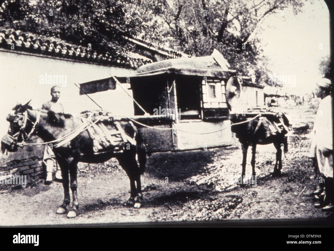 Dieses Foto zeigt zwei Maultiere mit einem shen-dz, einer traditionellen chinesischen Ladung, zwischen 1900 und 1919. Das Bild bietet einen Einblick in die Transport- und Arbeitsmethoden im ländlichen China während dieser Zeit. Stockfoto
