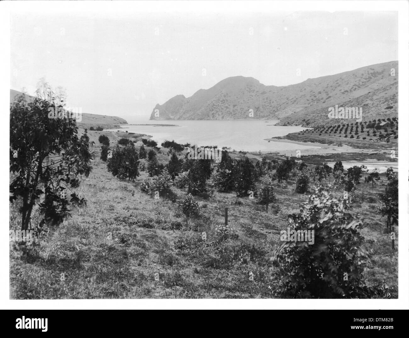 Ansicht des Catalina Harbor Isthmus, 1905 Stockfoto
