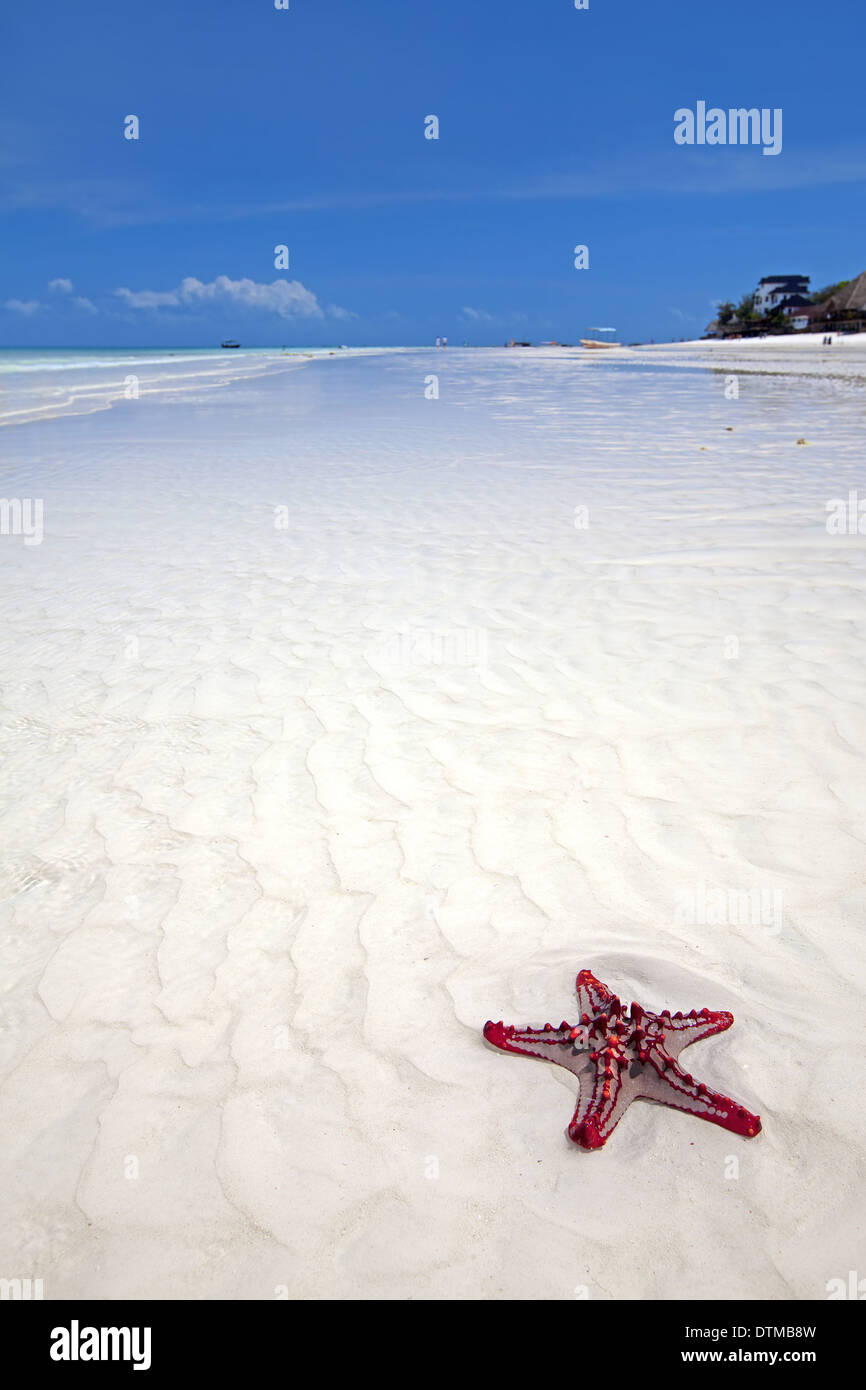 Zanzibar beach Stockfoto