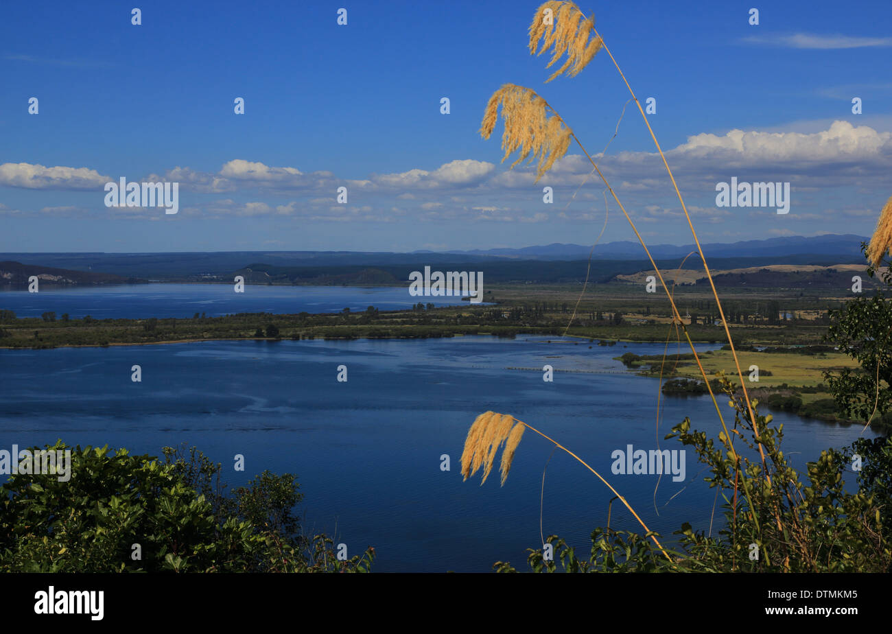 Ansicht des großen Lake Taupo, Nordinsel, Neuseeland Stockfoto