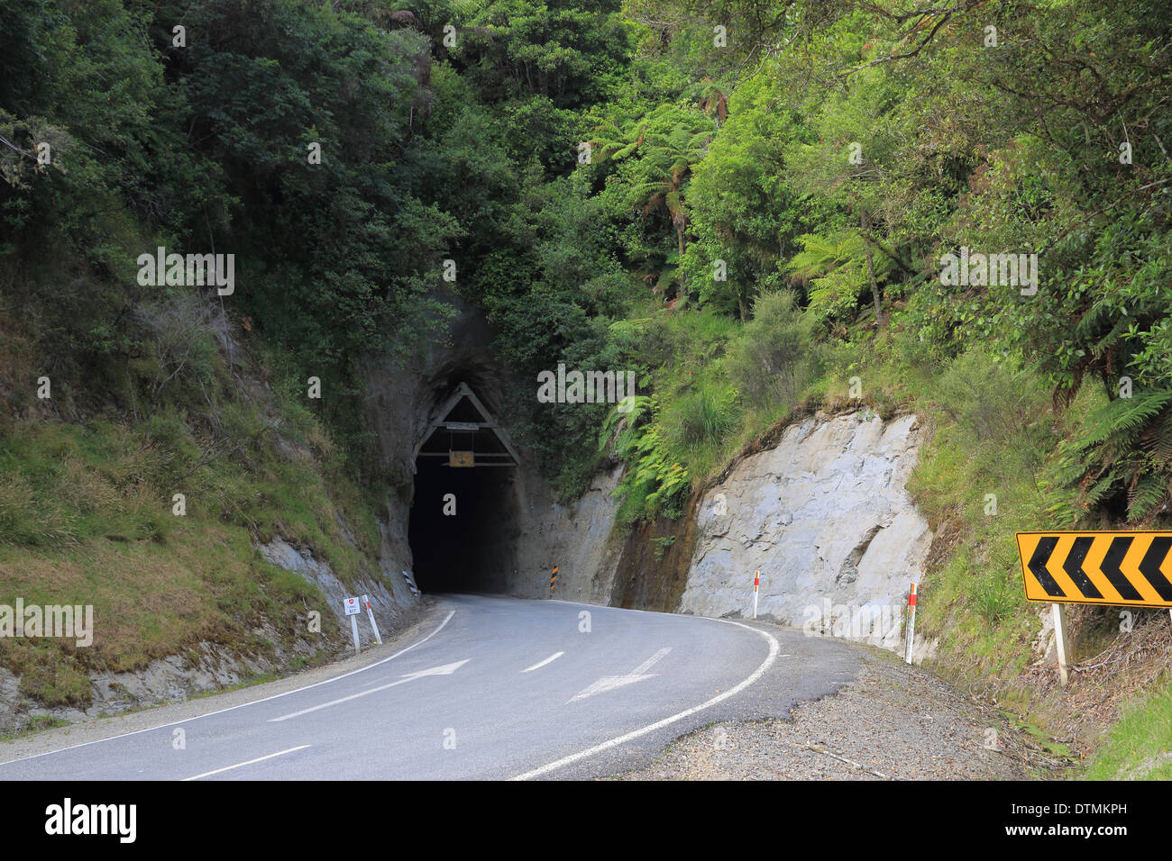 Moki Tunnelteil der Forgotten World Highway (SH 43), Whanganui National Park, North Island, Neuseeland Stockfoto