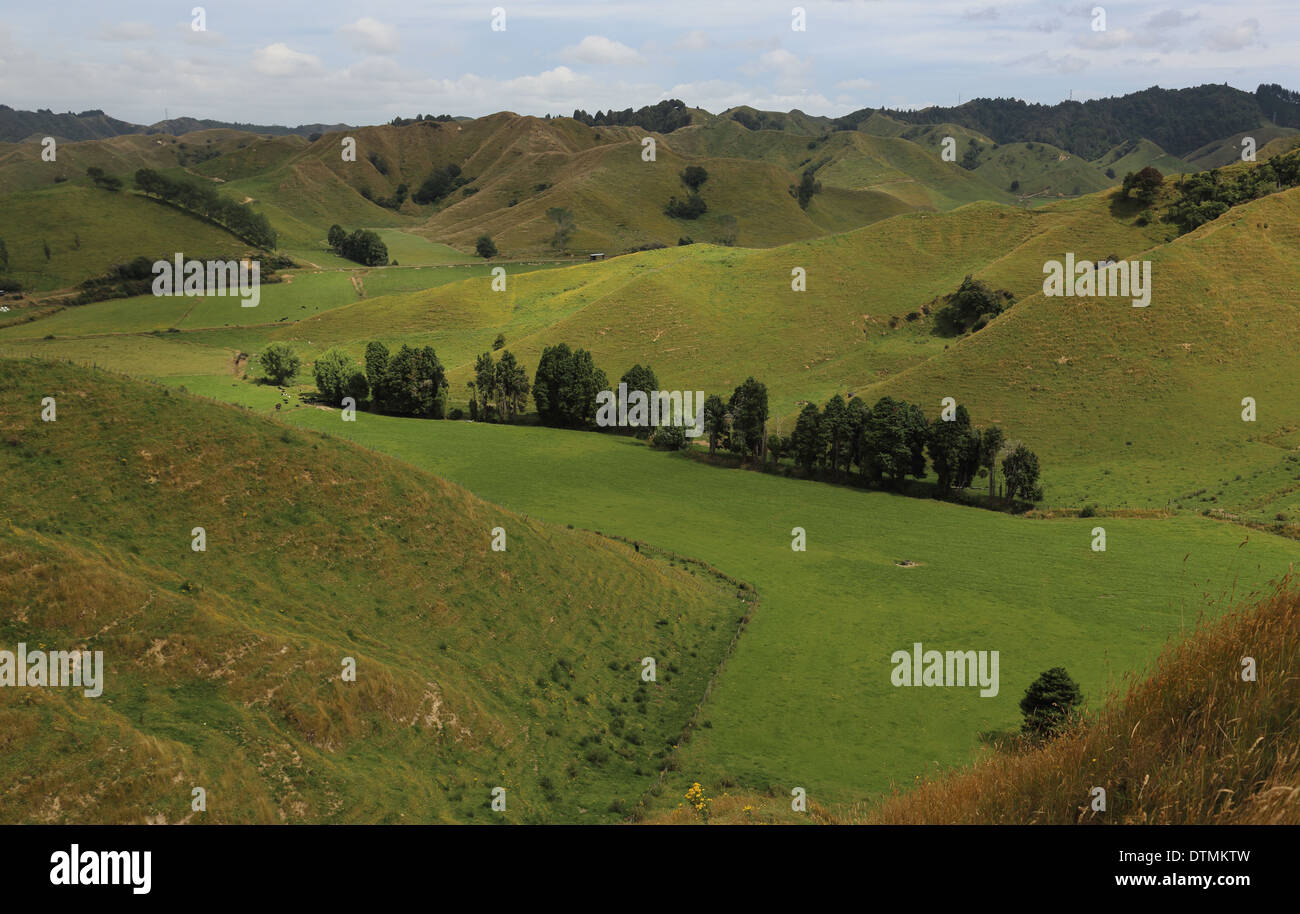 Ansicht von Strathmore Sattel von der vergessenen Welt-Autobahn (SH 43), Whanganui-Nationalpark, Nordinsel, Neuseeland Stockfoto