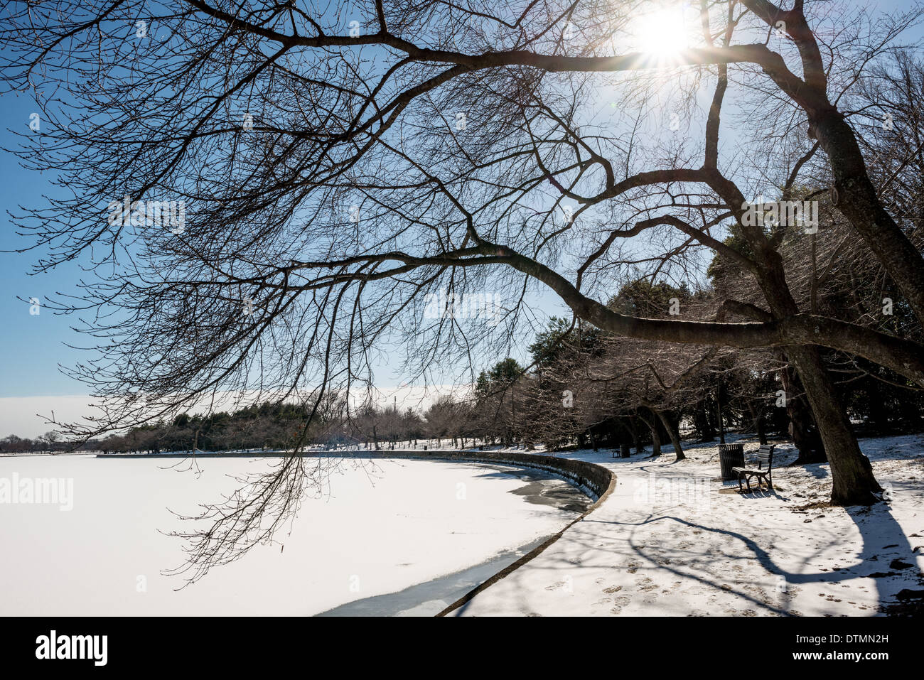 Washington DC berühmten Kirschbäume, Blüten und Blätter für den Winter, Bogen über einen schneebedeckten Gehweg Tidal Basin läuten. Tidal Basin in Washington, D.C. ist durch Schichten von Eis und Schnee bedeckt. Temperaturen im Winter wurden unter dem Durchschnitt für die Region. Stockfoto