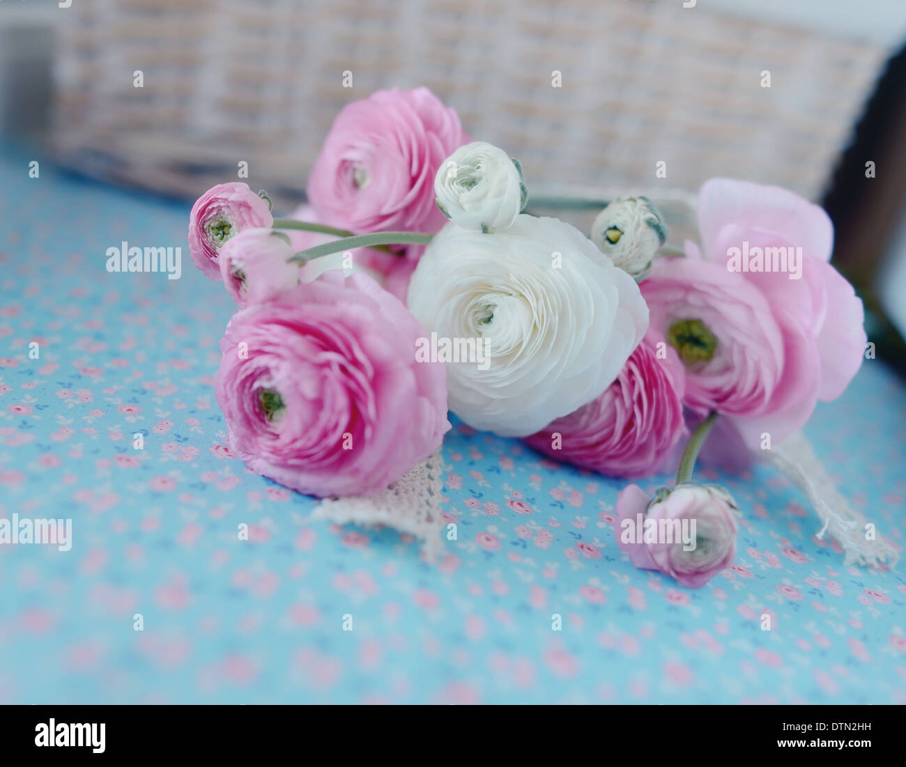 auf blauem Grund ist ein feines Bukett von Butterblumen mit Band Stockfoto