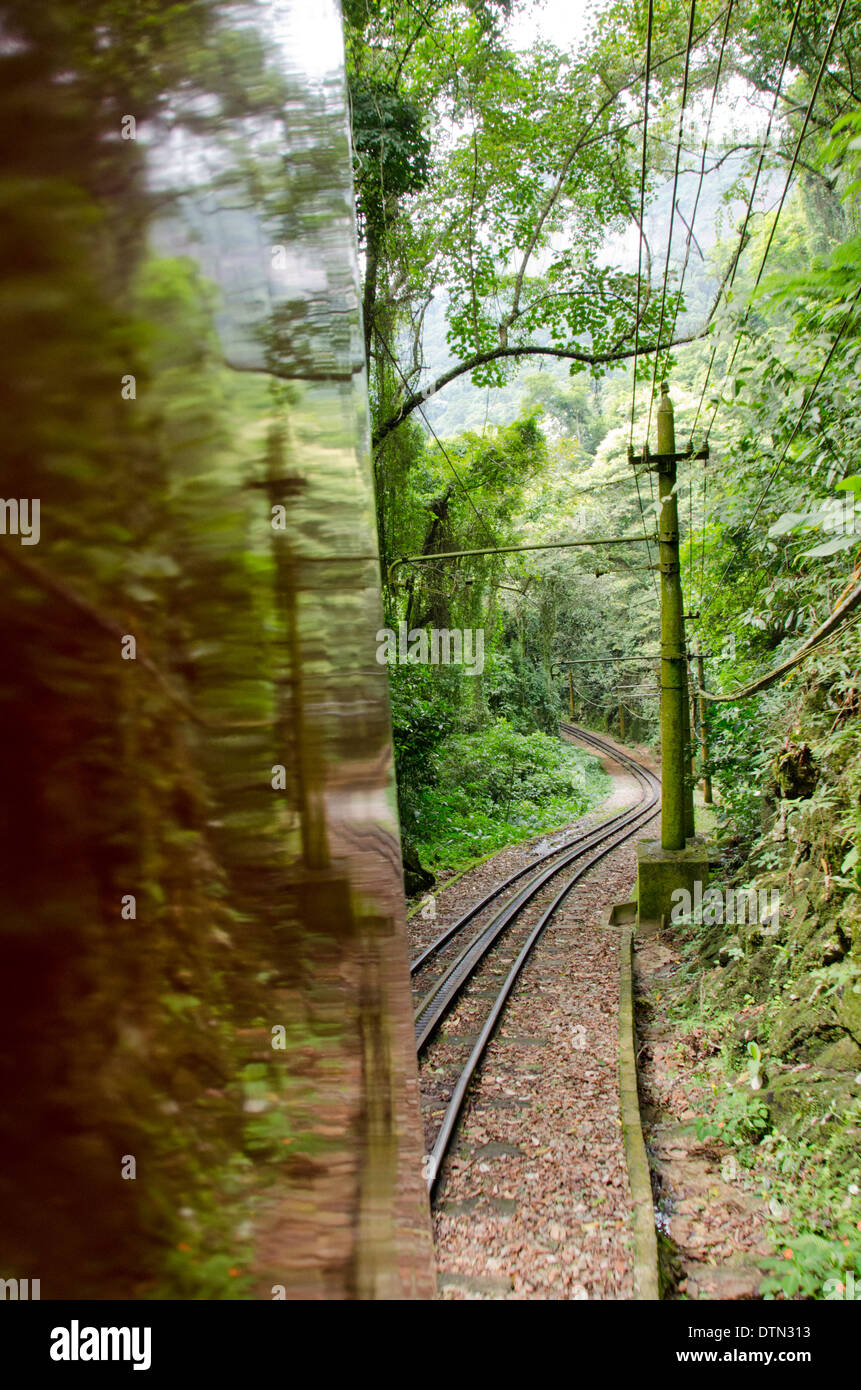 Brasilien, Rio De Janeiro, Tijuca-Nationalpark Corcovado. Wagen, die geht durch den Regenwald an der Spitze des Corcovado Stockfoto
