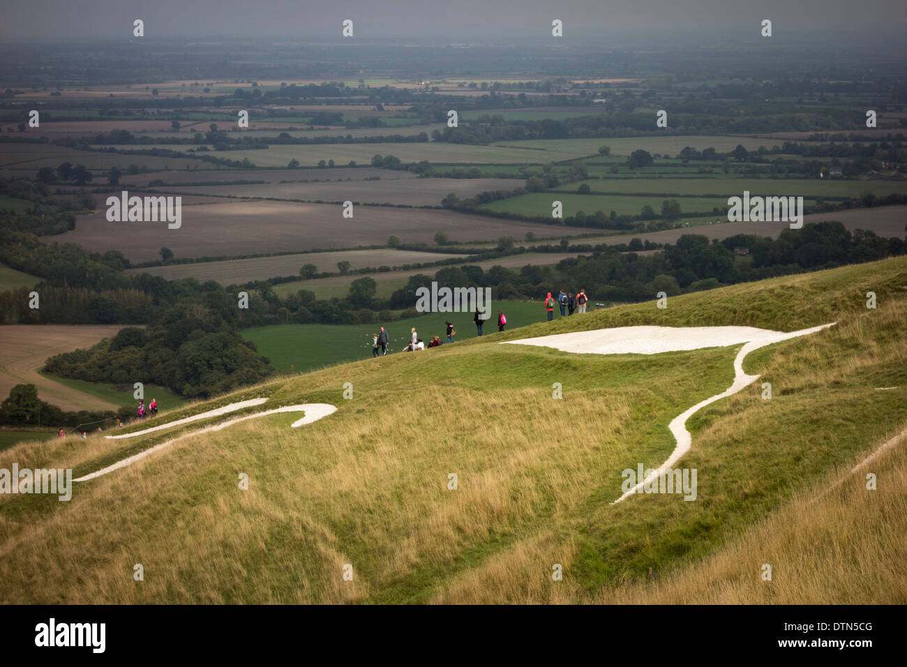 Uffington White Horse, Vale of White Horse, Oxfordshire, Vereinigtes Königreich Stockfoto