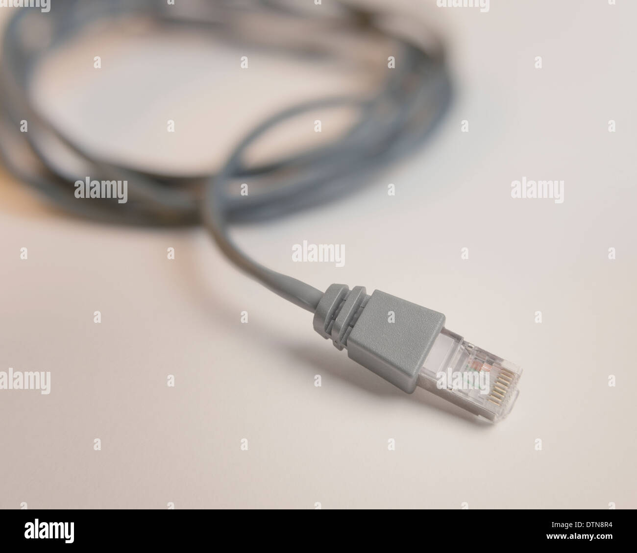 Ein grauer Ethernet-LAN-Kabel. Stockfoto