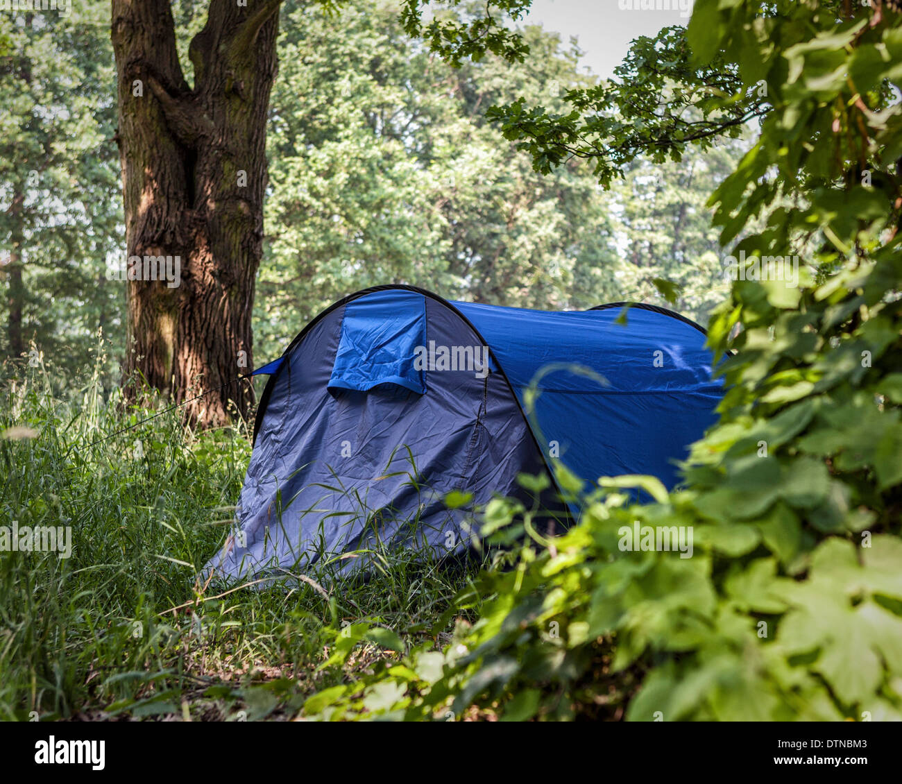 Ein blaues Wohnmobil Zelt im bewaldeten Spreewald Biosphärenreservat, Brandenburg, Deutschland Stockfoto