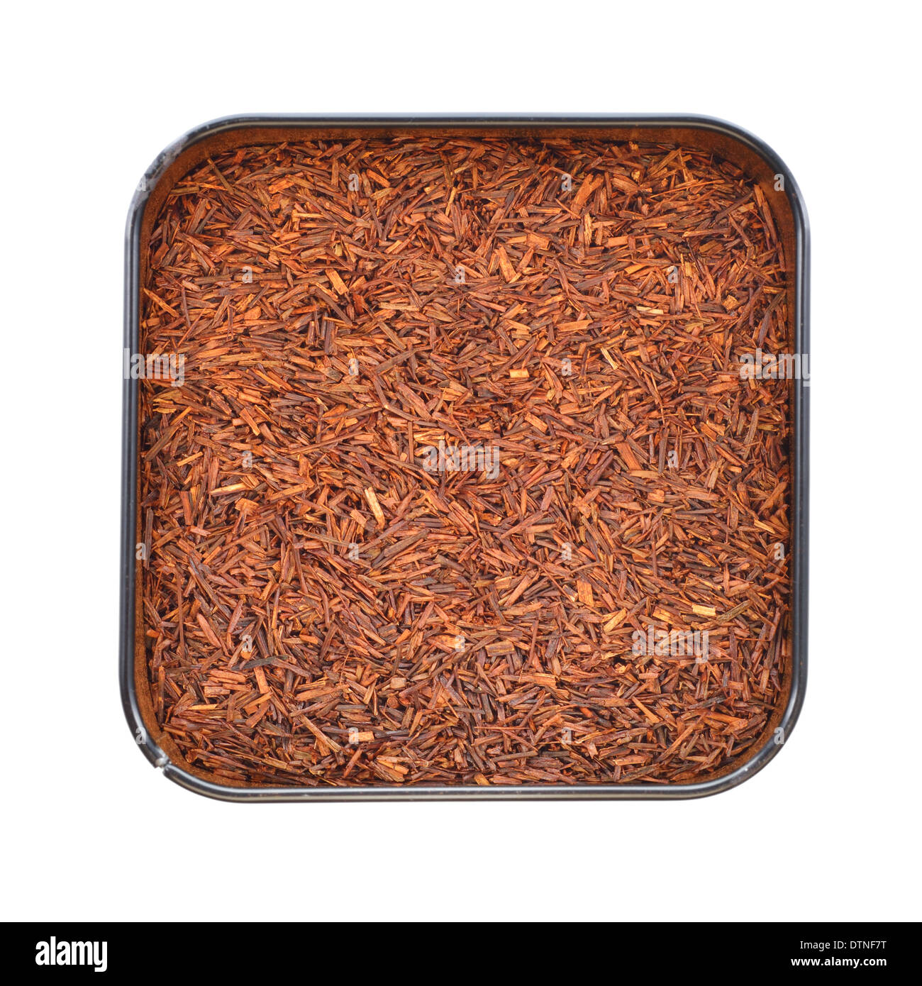 Natürliche Bio Rooibos in der Dose. Tisane Tee ohne Koffein isoliert auf weißem Hintergrund. Stockfoto