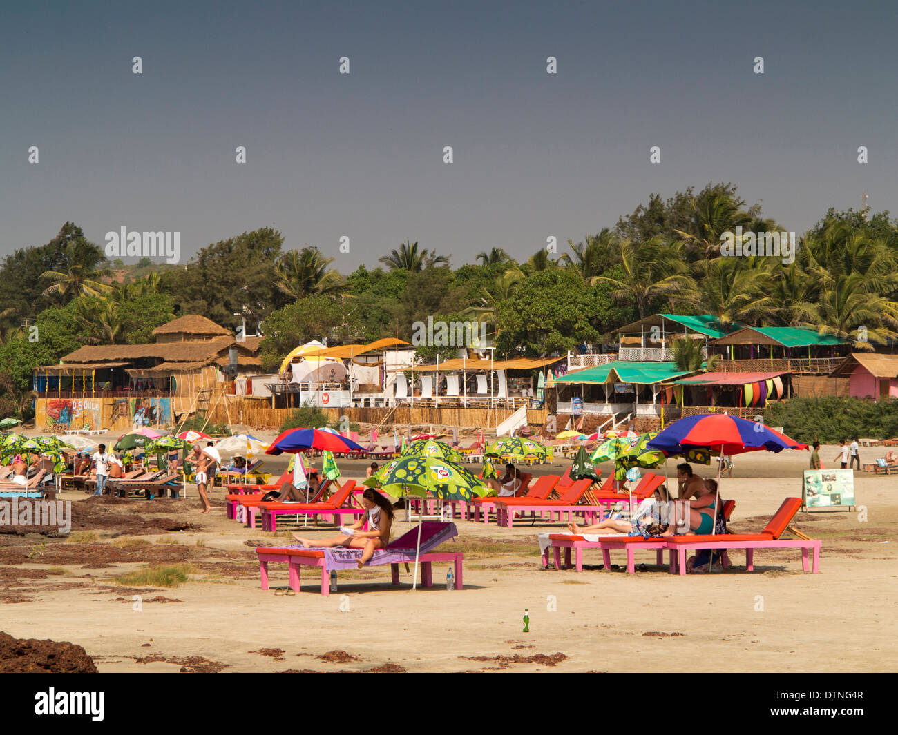 Indien, Goa, Gawdewada Strand, Touristen, Sonnen auf Sonnenliegen Stockfoto