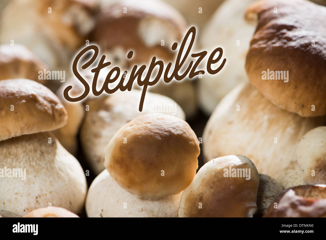 Essbare Pilze auf einem Tablett Stockfoto
