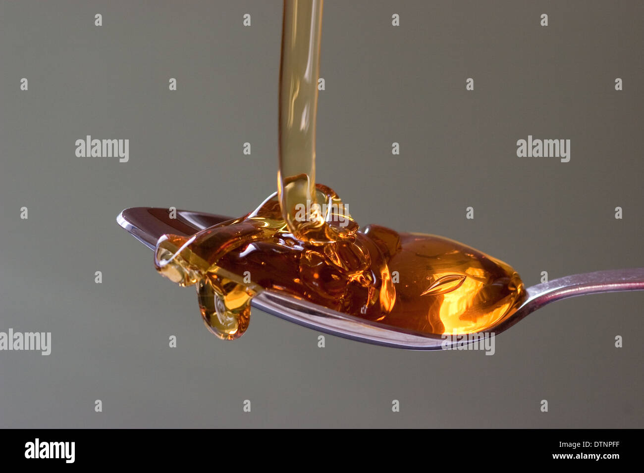 Goldener Sirup wird von oben auf einen Silberlöffel mit neutralem, glattem Hintergrund gegossen Stockfoto