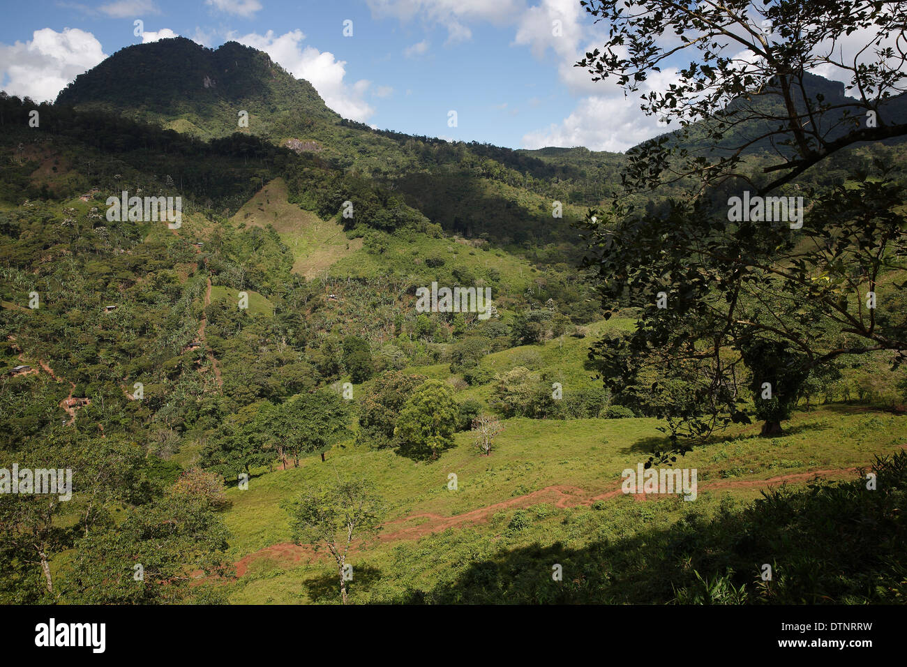 Landschaft, Peñas Blancas, Nicaragua Stockfoto